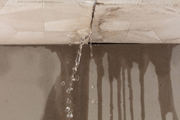 Professional Sewage Cleanup technician working in Loudonville, NY